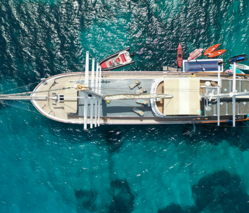 Ekran görüntüsü 2023-06-23 161735