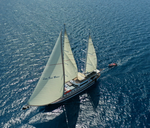 Ekran görüntüsü 2023-06-23 161742