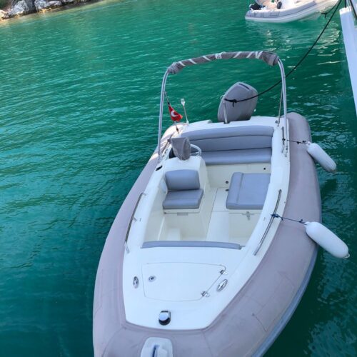 WhatsApp Image 2023-05-23 at 14.43.42 (1)