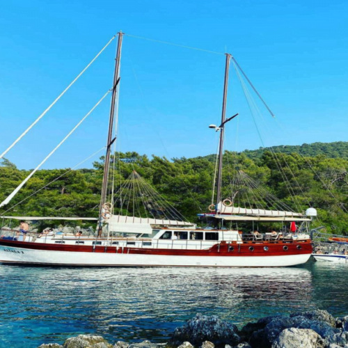 Ekran görüntüsü 2024-01-18 095807